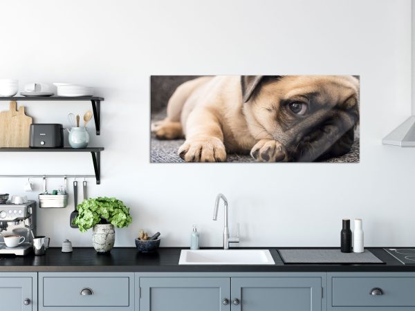 Süßer Mops auf Teppich, Glasbild Panorama Verkauf – Bild 3