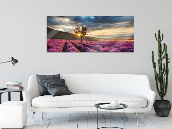 Lavendel Provence mit Baum, Glasbild Panorama Online – Bild 2